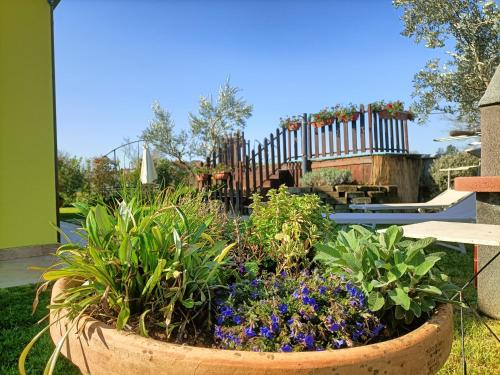  La Casina di Campagna in Foiano della Chiana