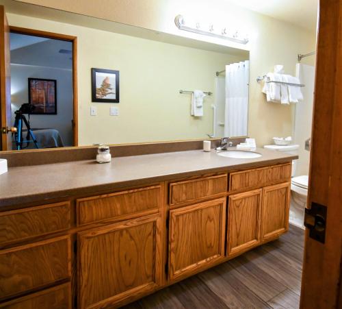 Snow Lake Lodge - image 2