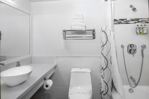 Hotel Glendale Lodge - image 12