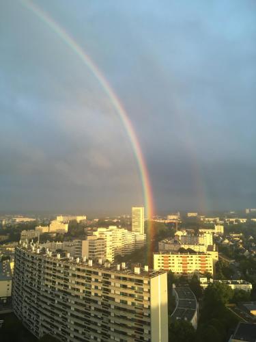 Rennes vue des Horizons