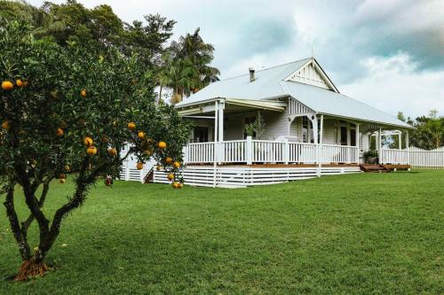 Circa a 1930s house set in Byron Bay Hinterlands