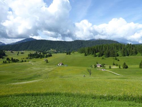 Mountain chalet in Lamon with garden