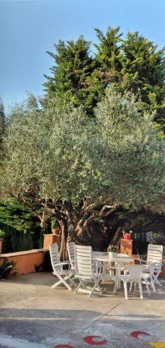 Kert, Casa rural Cal Fuster Experience in Terrades