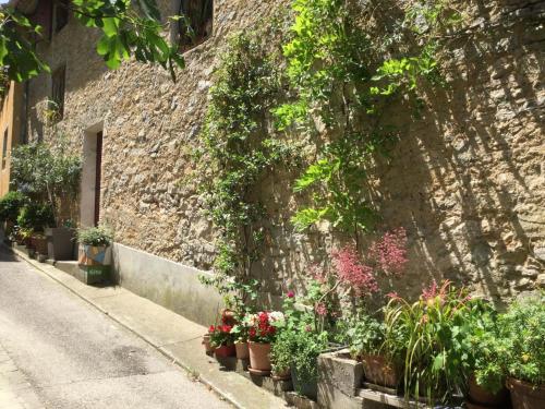 Le gite de l'impassiflore - Location saisonnière - Méounes-lès-Montrieux