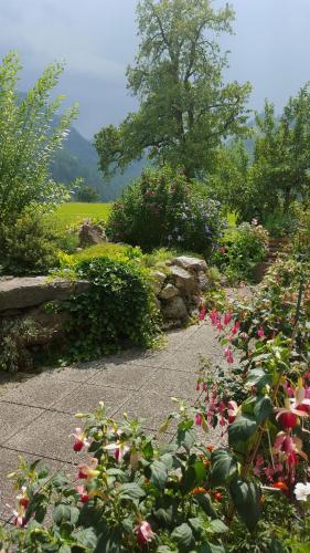 Gausrab - image 8