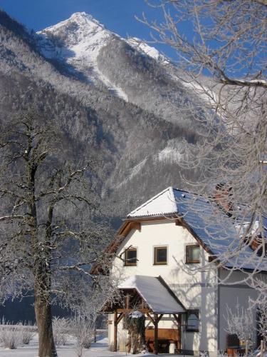 Gausrab - image 11