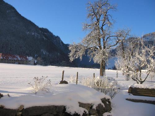 Gausrab - image 13