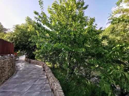  VILLA MAREL in Trefacio