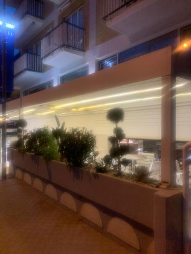 Hotel Capri – San Benedetto del Tronto, MO