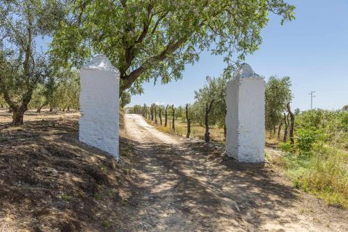 Hacienda San Antonio