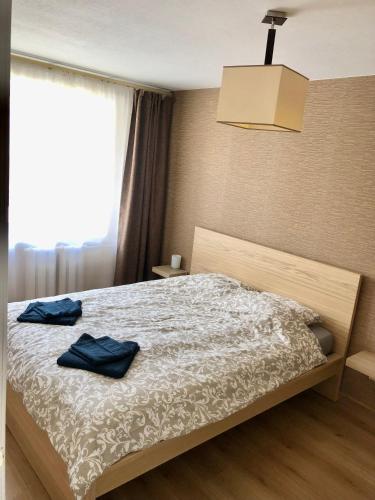 . Smart Stay Apartment