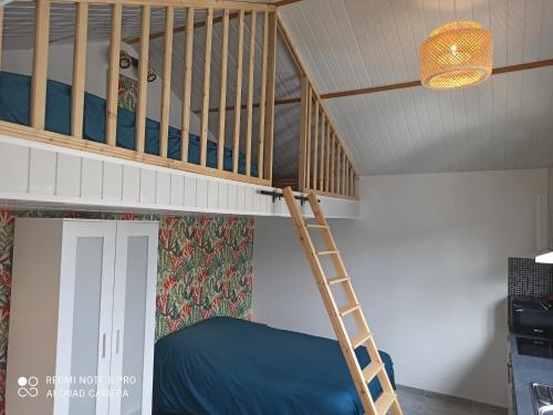 Maisonnette indépendante 4 personnes jardin terrasse - Artaise-le-Vivier