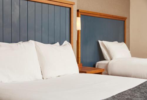 White Rabbit Hotel by Greene King Inns - image 10