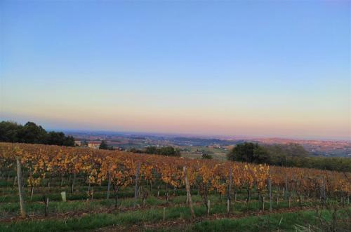 Appartement Theizé - Les meublés des Pierres Dorées gîte à louer Oingt
