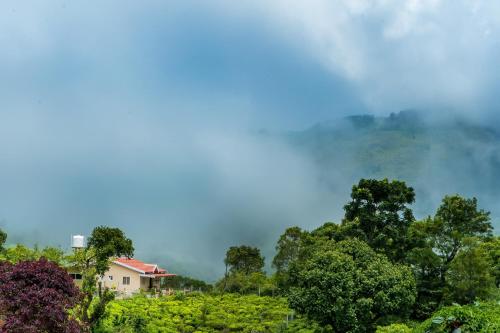 Biosphere Udhagamandalam