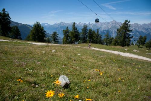 Balcons du Soleil SUNNY & MOUNTAIN apartments by Alpvision Résidences