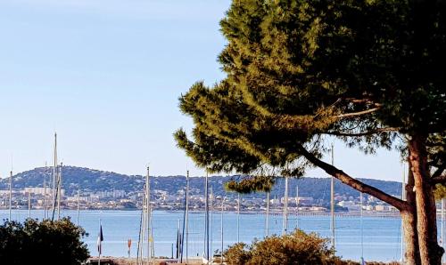 Horizon bleu - Apartment - Bouzigues