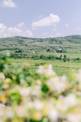 BACCO D'ORO Wine & Relais Room Type - Double Room with Mountain View