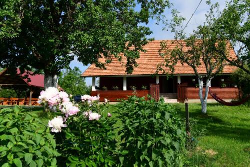  House Luna in Rakovica