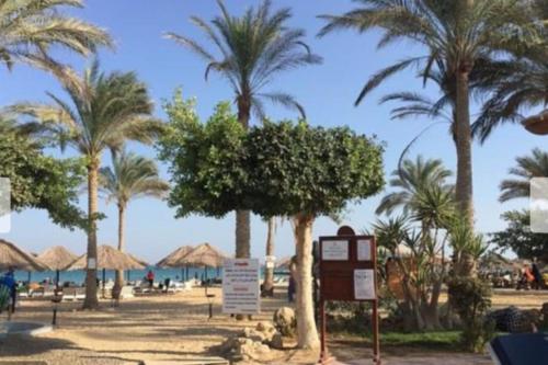 Private chalte Palmera sokhna family in Ataqah