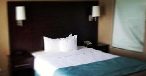 Comfort Inn & Conference Centre Toronto Airport