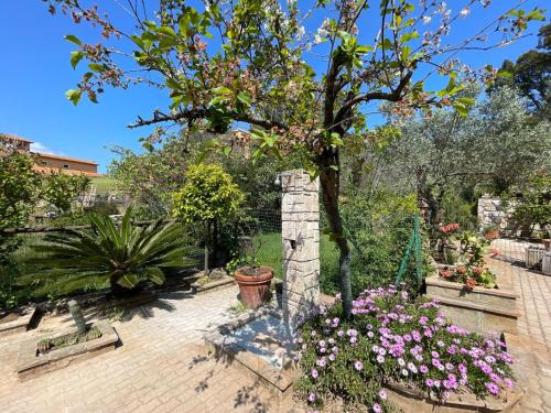 Appartamenti La Spiaggia gîte à louer Bagnaia