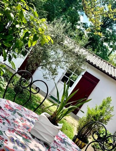 Studio à Linxe entre terre et océan chambre d'hôte Vielle-Saint-Girons