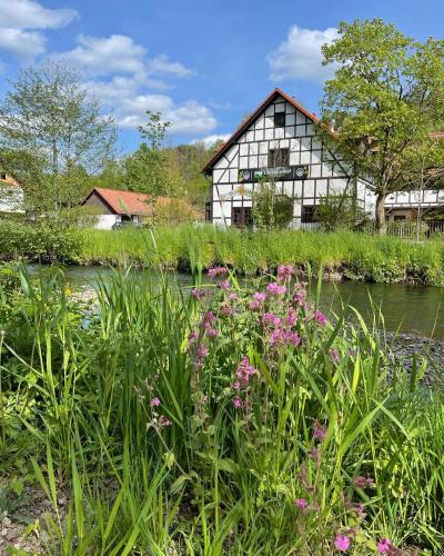Hotel Der Distelhof - ihr Land- und Tagungshotel zwischen Rennsteig, Rhön & Werratal in Dillstädt, Deutschland