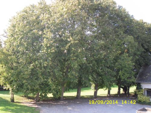 Hellesvang, Guderup (foto 9)