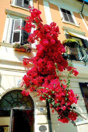 Suite Bouganville Hotel de charme Terracina