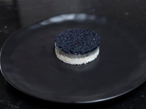 Vivid Blue Serenity Resort