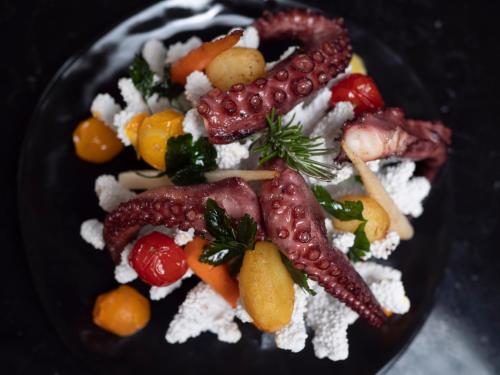 Vivid Blue Serenity Resort