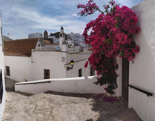 Villa Romana chambre d'hôte La Muela