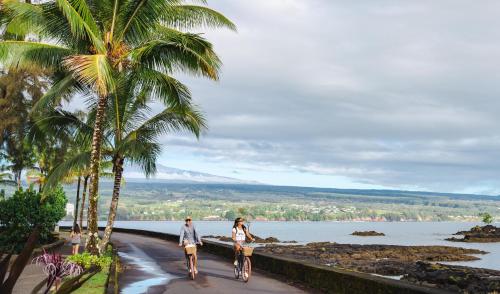 Review of the SCP Hilo Hotel on the Big Island: Eco Friendly and Community  Focused - 2TravelDads