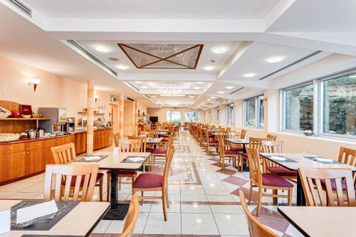 酒吧/高級酒吧, HOTEL VILLA MARIA in 切塞納蒂科市中心
