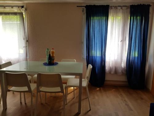  2 Rooms cosy Apartment near Liechtenstein in Haag