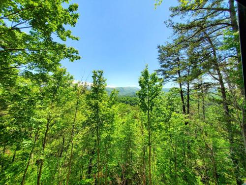 Mountain Ridge in Pigeon Forge, USA