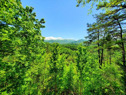 Mountain Ridge in Pigeon Forge, USA