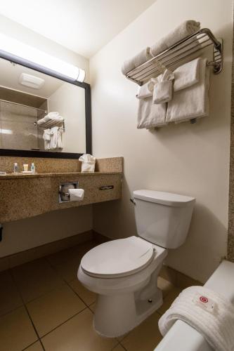 Comfort Inn Near Grand Canyon - image 13