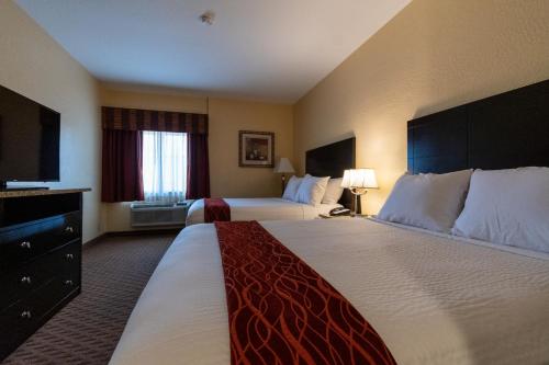 Comfort Inn Near Grand Canyon - image 10