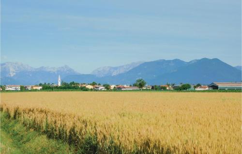  Il barco degli AlidosiO in Sarcedo
