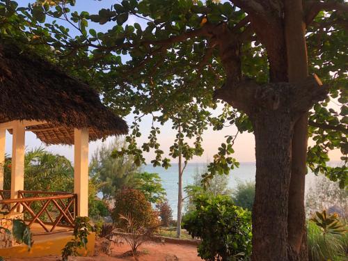 Sazani Beach Lodge and Tidal Lounge Zanzibar Tanzania