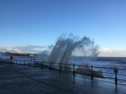 Robyn's Guest House - image 9