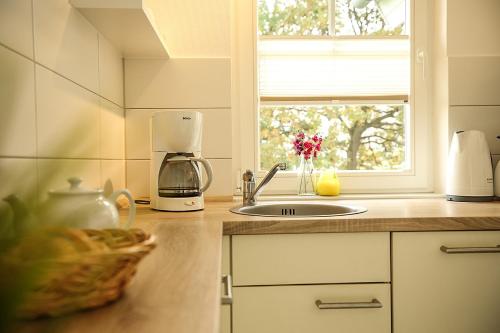 Kitchen, Strandpark Sierksdorf H081 in Sierksdorf