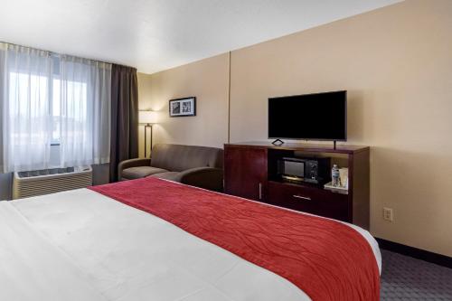 Comfort Inn Kent - Seattle - image 11