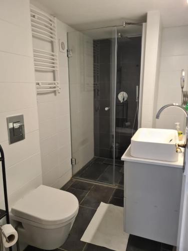 Akácfa Boutique Apartment - image 3