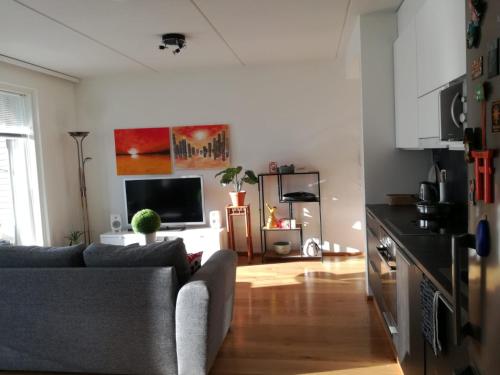 Appartment Lake Tuomiojärvi - Apartment - Jyväskylä