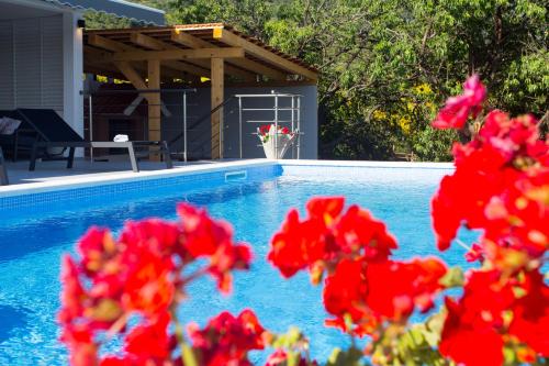 Villa Ivano with sea&mountain view