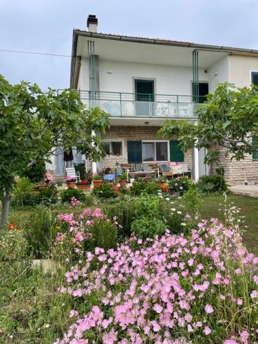 Apartments Grubisin - image 14