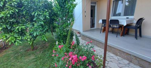 Danijela Apartment - image 12